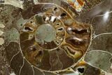 Wide Polished Fossil Ammonite Dish - Madagascar #137402-1